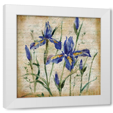 Poetic Garden IV White Modern Wood Framed Art Print by Brent, Paul