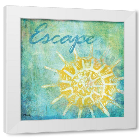 Caribbean Shells II White Modern Wood Framed Art Print by Brent, Paul