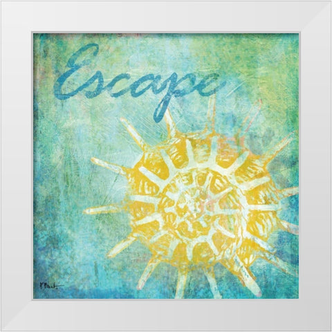 Caribbean Shells II White Modern Wood Framed Art Print by Brent, Paul