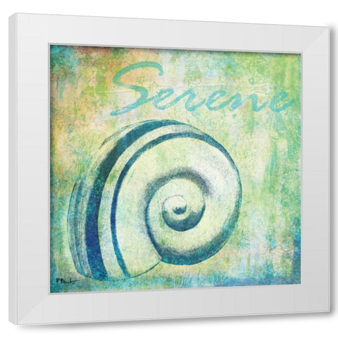 Caribbean Shells III White Modern Wood Framed Art Print by Brent, Paul