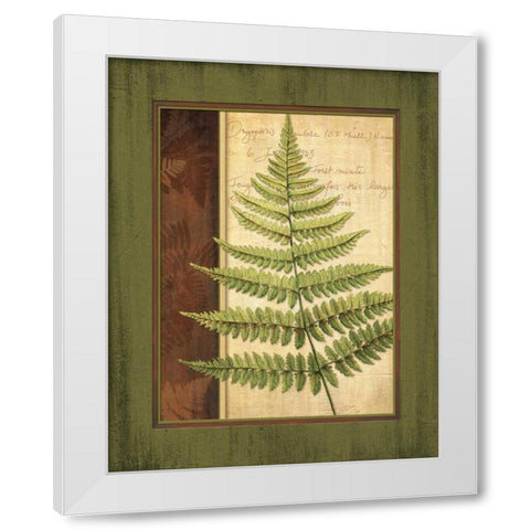 Fern Grotto I White Modern Wood Framed Art Print by Corbin, Delphine