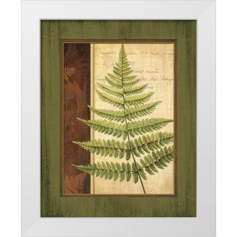 Fern Grotto I White Modern Wood Framed Art Print by Corbin, Delphine