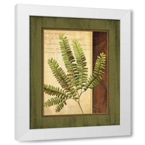Fern Grotto II White Modern Wood Framed Art Print by Corbin, Delphine