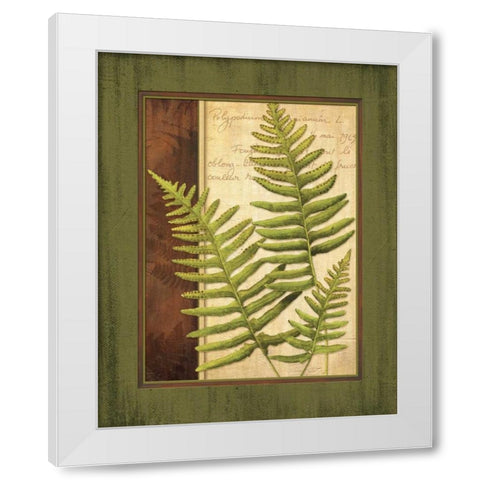 Fern Grotto III White Modern Wood Framed Art Print by Corbin, Delphine