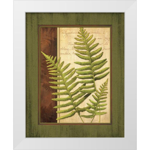 Fern Grotto III White Modern Wood Framed Art Print by Corbin, Delphine