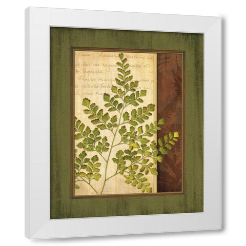 Fern Grotto IV White Modern Wood Framed Art Print by Corbin, Delphine