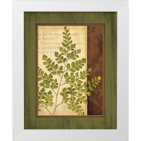 Fern Grotto IV White Modern Wood Framed Art Print by Corbin, Delphine