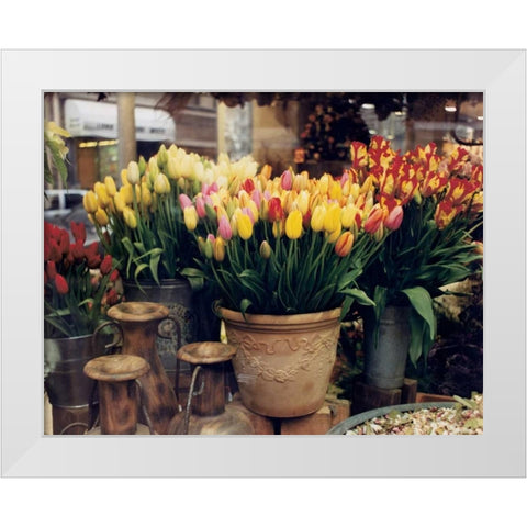 Tulips Paris White Modern Wood Framed Art Print by Cieslikowski, Zeny