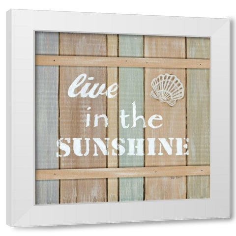 Driftwood Signs III White Modern Wood Framed Art Print by Davis, Paige