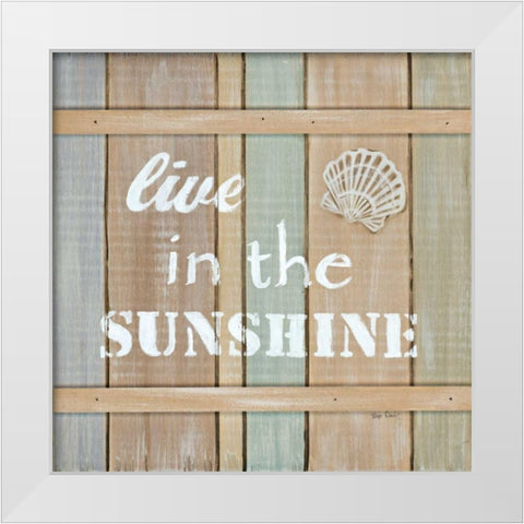 Driftwood Signs III White Modern Wood Framed Art Print by Davis, Paige