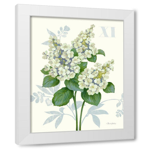 Tardiva Hydrangea White Modern Wood Framed Art Print by Gladding, Pamela