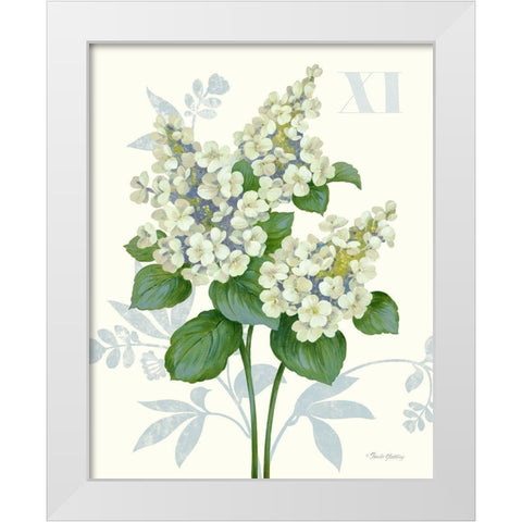 Tardiva Hydrangea White Modern Wood Framed Art Print by Gladding, Pamela