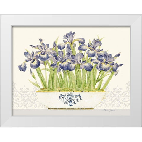 Imperial Irises Horizontal White Modern Wood Framed Art Print by Gladding, Pamela