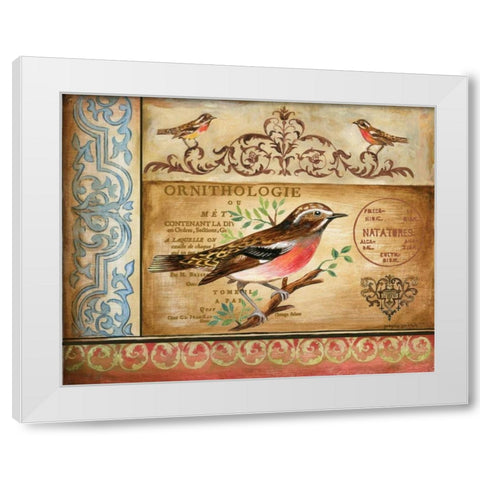 Ornithology White Modern Wood Framed Art Print by Gorham, Gregory