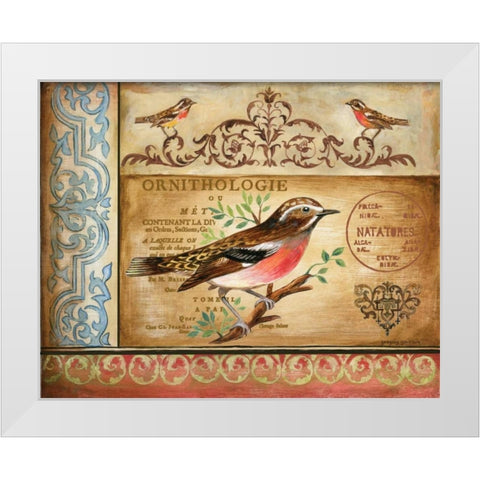 Ornithology White Modern Wood Framed Art Print by Gorham, Gregory
