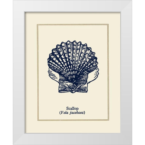 Scallop Shell White Modern Wood Framed Art Print by Gorham, Gregory