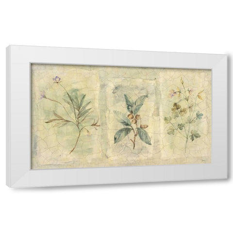 Crackle Sprigs I White Modern Wood Framed Art Print by Hargittai, Paul