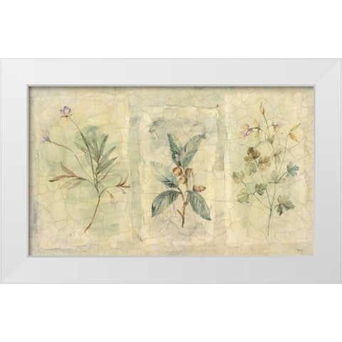 Crackle Sprigs I White Modern Wood Framed Art Print by Hargittai, Paul
