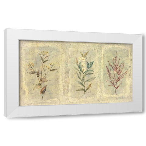 Crackle Sprigs II White Modern Wood Framed Art Print by Hargittai, Paul
