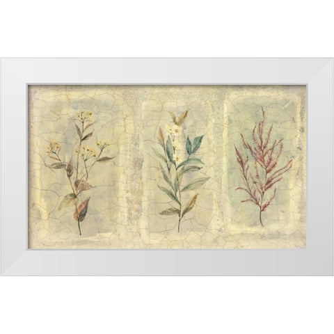 Crackle Sprigs II White Modern Wood Framed Art Print by Hargittai, Paul