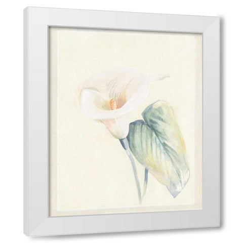 Calla Lily II White Modern Wood Framed Art Print by Hargittai, Paul