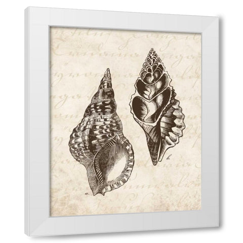 Elegant Shells I - mini White Modern Wood Framed Art Print by Harbick, N
