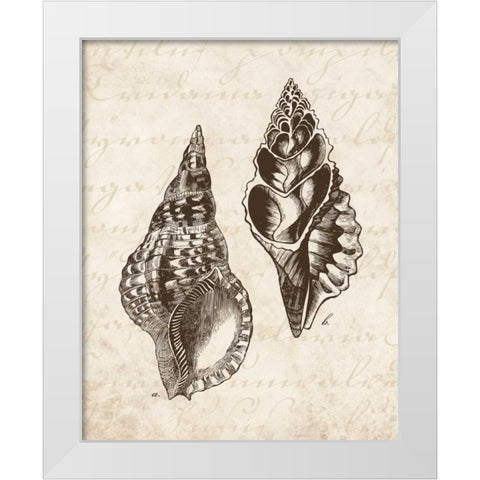 Elegant Shells I - mini White Modern Wood Framed Art Print by Harbick, N