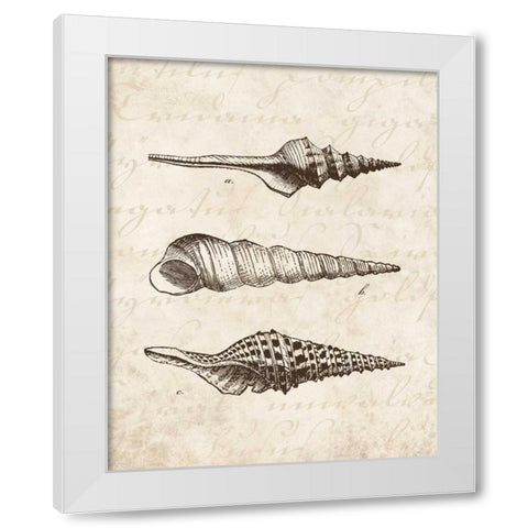 Elegant Shells II - mini White Modern Wood Framed Art Print by Harbick, N