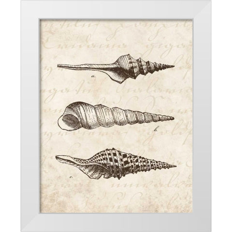 Elegant Shells II - mini White Modern Wood Framed Art Print by Harbick, N