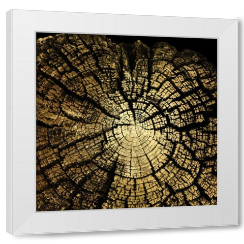 Gold Wood II White Modern Wood Framed Art Print by Harbick, N.