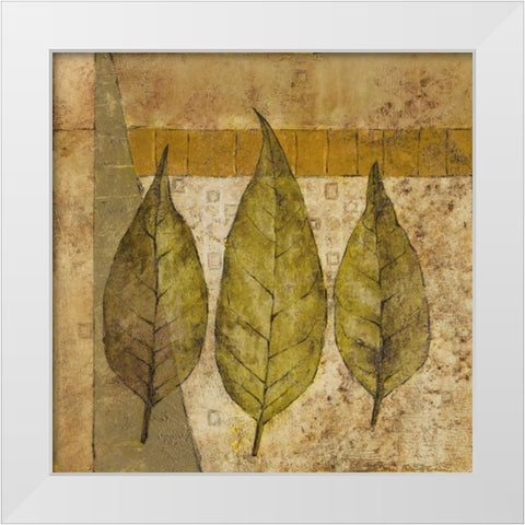 Nature Study II White Modern Wood Framed Art Print by Kime, John