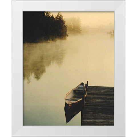 Plenitude II White Modern Wood Framed Art Print by Lestage, Suzanne