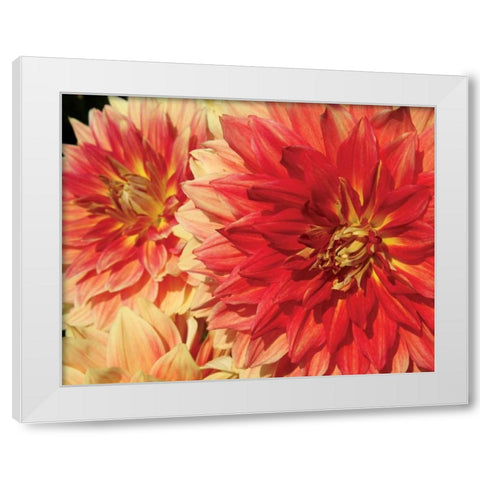 Hot Sun White Modern Wood Framed Art Print by Love, Maureen