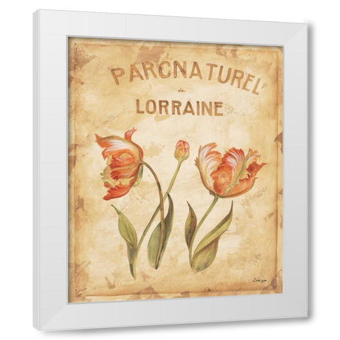 Parcnaturel III White Modern Wood Framed Art Print by Linza, Loretta
