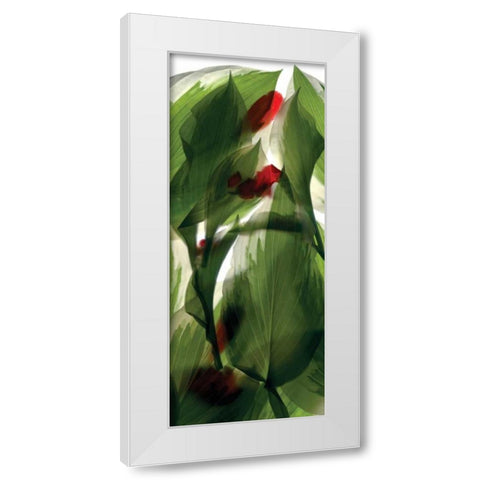 Hosta Begonia Window White Modern Wood Framed Art Print by McLemore, Julia