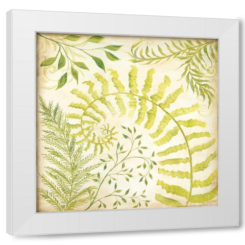 Fern Botanical II White Modern Wood Framed Art Print by McRostie, Kate