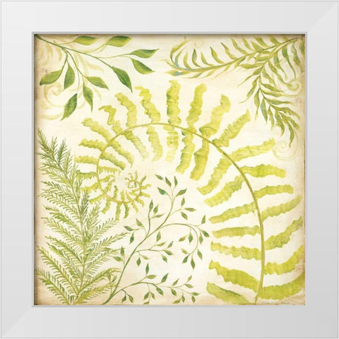 Fern Botanical II White Modern Wood Framed Art Print by McRostie, Kate