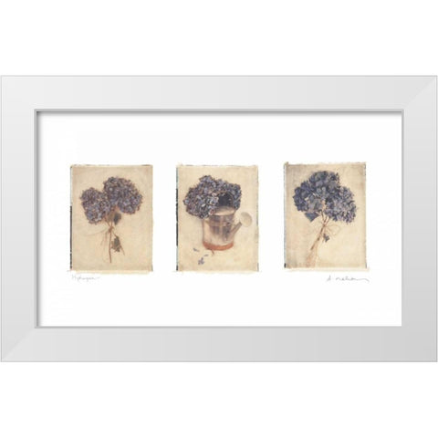 Hydrangeas White Modern Wood Framed Art Print by Melious, Amy