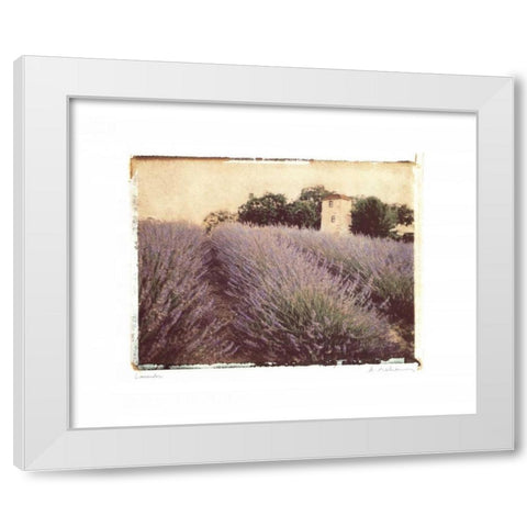 Lavender White Modern Wood Framed Art Print by Melious, Amy