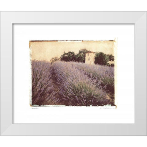 Lavender White Modern Wood Framed Art Print by Melious, Amy