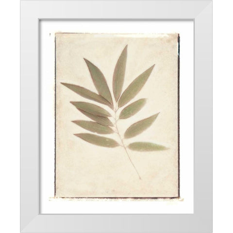 Bay Leaves White Modern Wood Framed Art Print by Melious, Amy