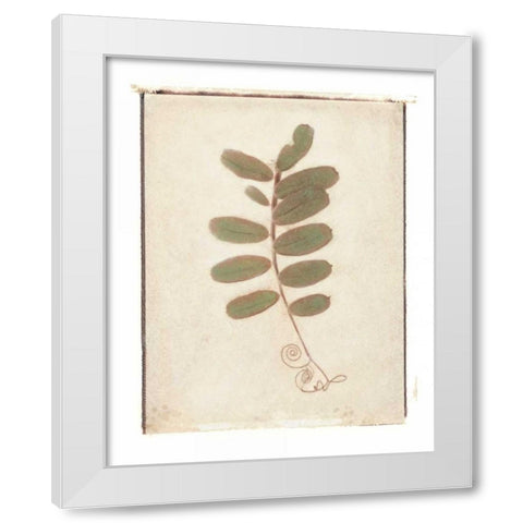 Tendril White Modern Wood Framed Art Print by Melious, Amy