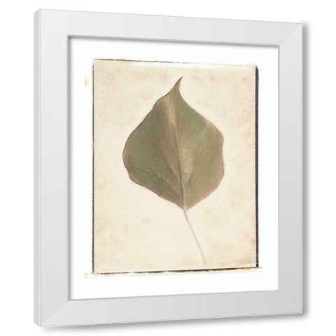 Single Leaf White Modern Wood Framed Art Print by Melious, Amy