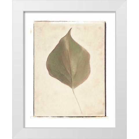 Single Leaf White Modern Wood Framed Art Print by Melious, Amy