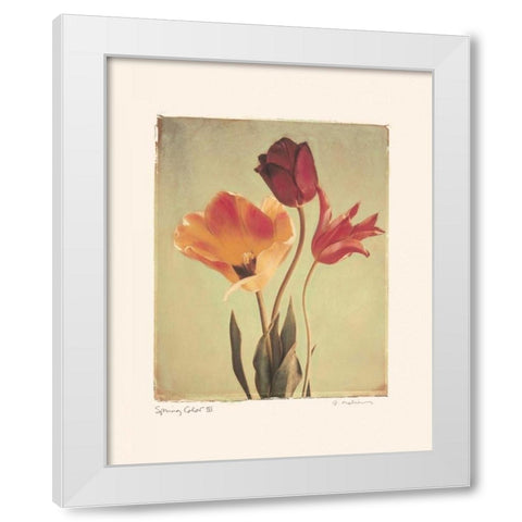 Spring Color III White Modern Wood Framed Art Print by Melious, Amy