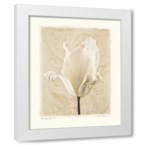 Chiaroscuro I White Modern Wood Framed Art Print by Melious, Amy