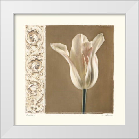 Lumiere I White Modern Wood Framed Art Print by Melious, Amy