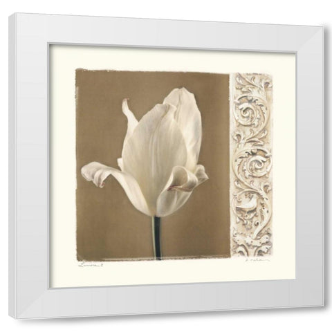 Lumiere II White Modern Wood Framed Art Print by Melious, Amy