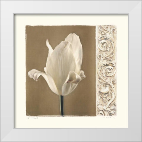 Lumiere II White Modern Wood Framed Art Print by Melious, Amy