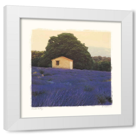 Lavender Country White Modern Wood Framed Art Print by Melious, Amy